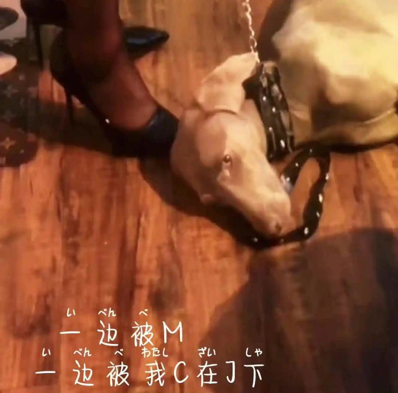 西檬之家-BDSM关键词OTK解析：跨膝姿势的安全实践与心理边界