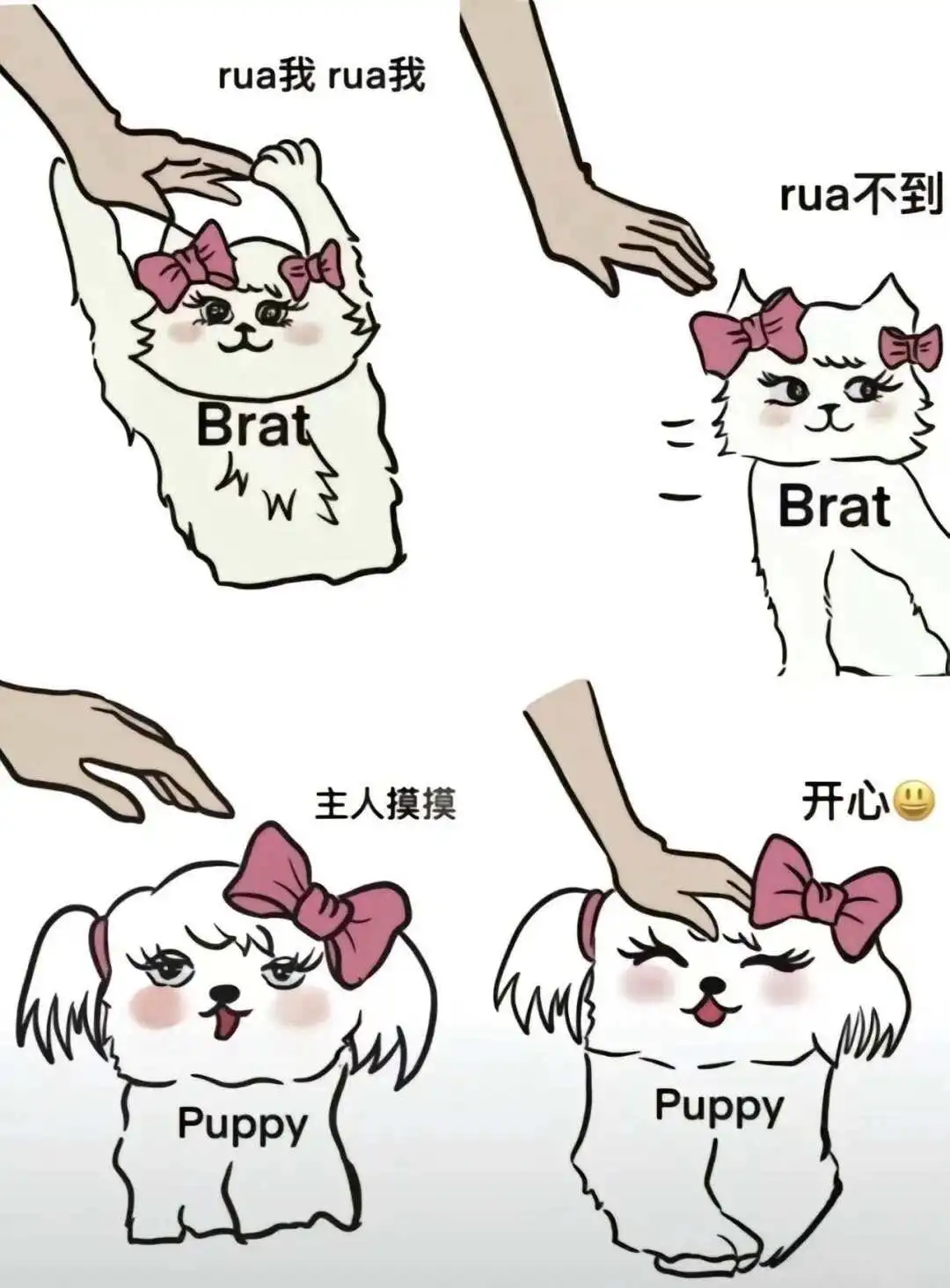 【西檬之家】brat属性是什么？字母圈新人必看指南