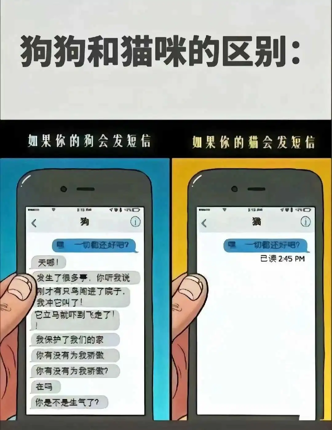 西檬之家-字母圈的K8猫系是什么意思？