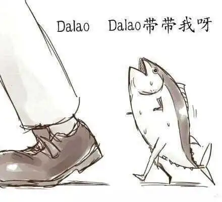 DS关系：实用指南