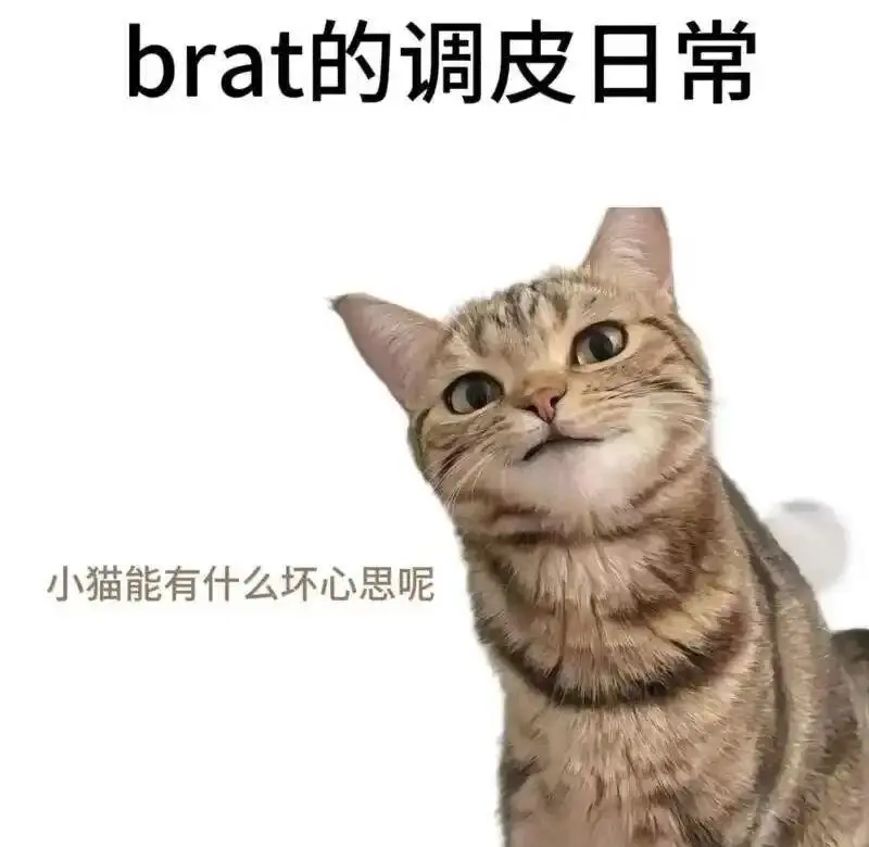西檬之家-【恋足癖是什么？字母圈新人如何安全探索恋足相关实践】