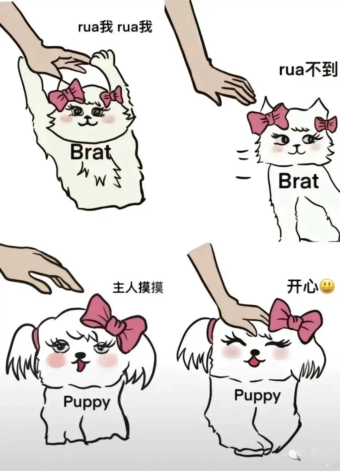 Sp：实用指南