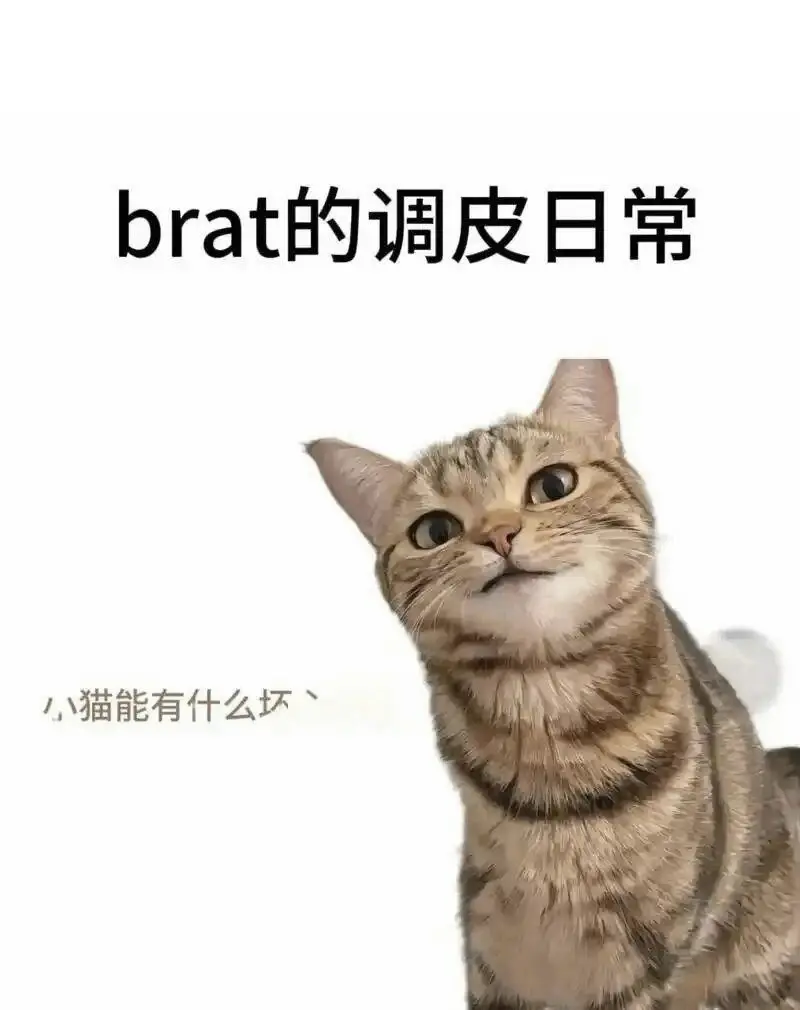 西檬之家-字母圈的践踏癖是什么意思？