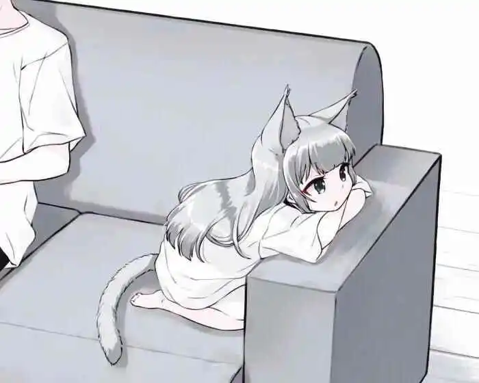 Sp：实用指南